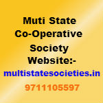 multi state society